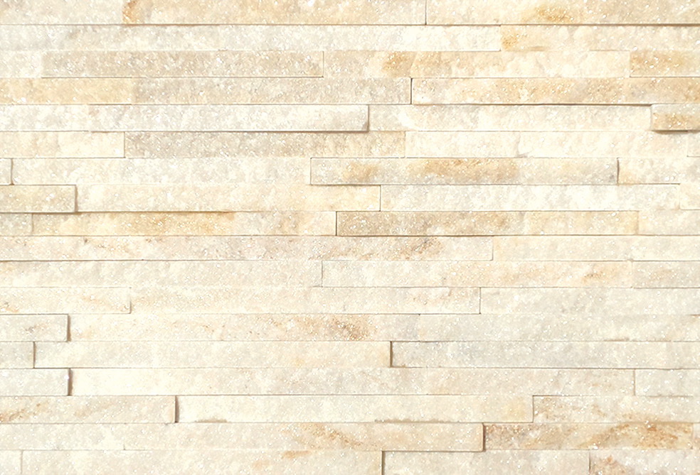 패널 CS 100 [CS-100]